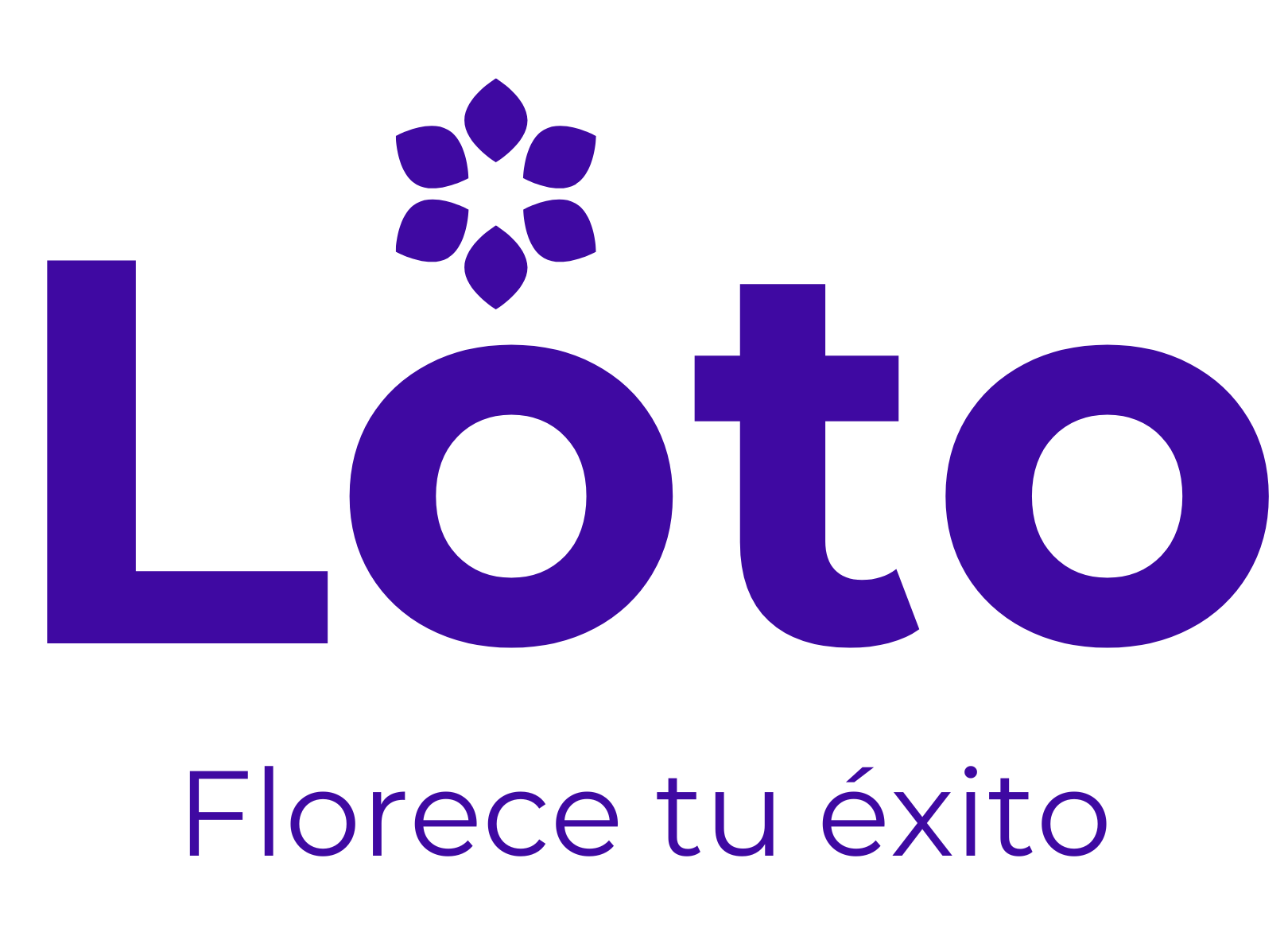 Loto Agencia de Marketing Digital